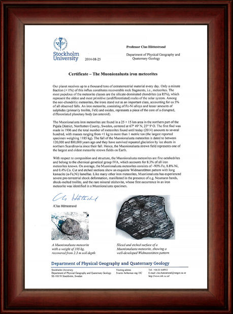 China Guangzhou Mantianxing Gift Ltd certificaciones